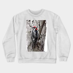 Yellow-bellied Sapsucker Crewneck Sweatshirt